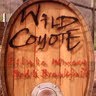 Wild Coyote Photo 3