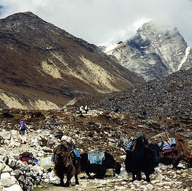 Geljen Sherpa Photo 3