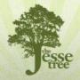 Jesse Tree Photo 9