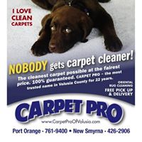 Carpet Pro Photo 2