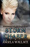 Storm Chaser (Elemental Magic) (Volume 5)
