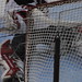 Drew Brodeur Photo 7