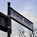 Steven Streets Photo 14